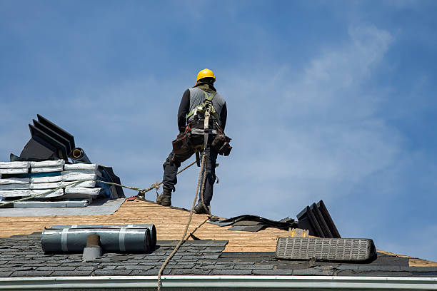 Professional Roof Installation technician working in Camden, MS